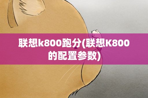 联想k800跑分(联想K800的配置参数)
