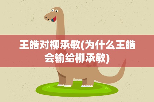 王皓对柳承敏(为什么王皓会输给柳承敏)