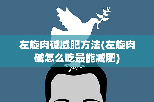 左旋肉碱减肥方法(左旋肉碱怎么吃最能减肥)