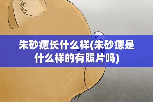 朱砂痣长什么样(朱砂痣是什么样的有照片吗)