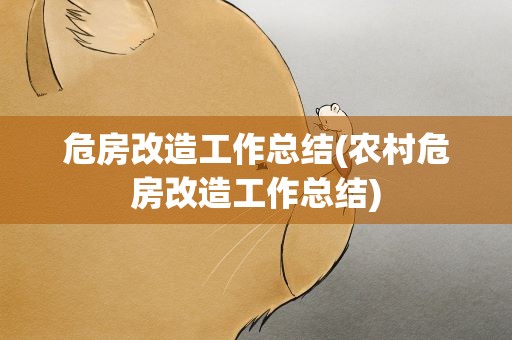 危房改造工作总结(农村危房改造工作总结)