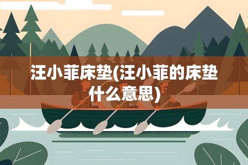 汪小菲床垫(汪小菲的床垫什么意思)