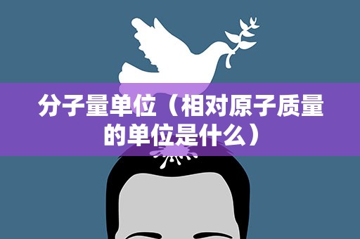 分子量单位（相对原子质量的单位是什么）