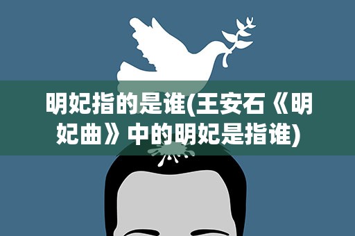 明妃指的是谁(王安石《明妃曲》中的明妃是指谁)