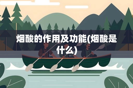 烟酸的作用及功能(烟酸是什么)