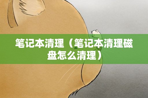 笔记本清理（笔记本清理磁盘怎么清理）