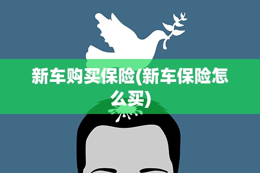 新车购买保险(新车保险怎么买)