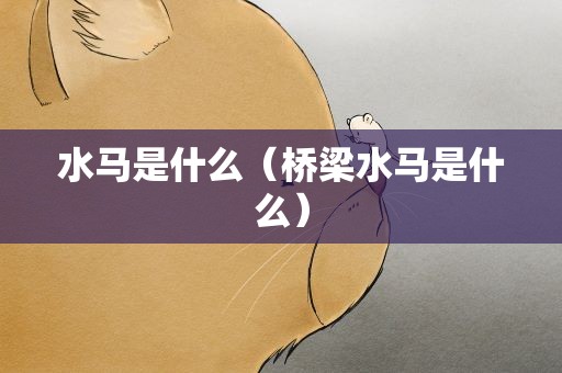 水马是什么（桥梁水马是什么）