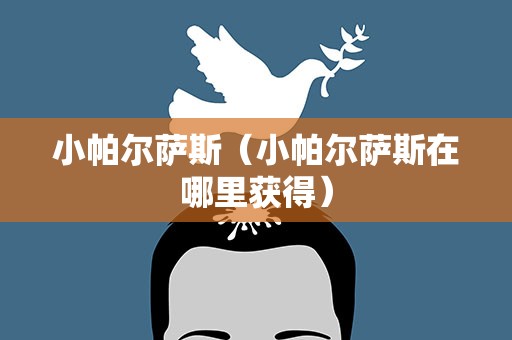 小帕尔萨斯（小帕尔萨斯在哪里获得）