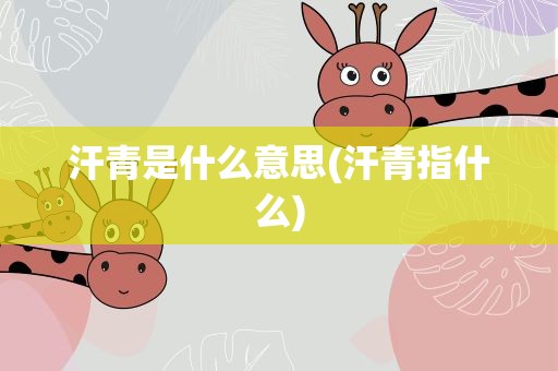汗青是什么意思(汗青指什么)