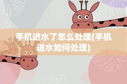 手机进水了怎么处理(手机进水如何处理)