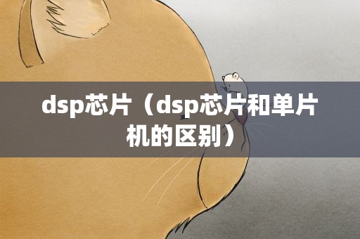 dsp芯片（dsp芯片和单片机的区别）