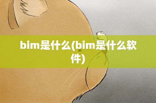 bim是什么(bim是什么软件)