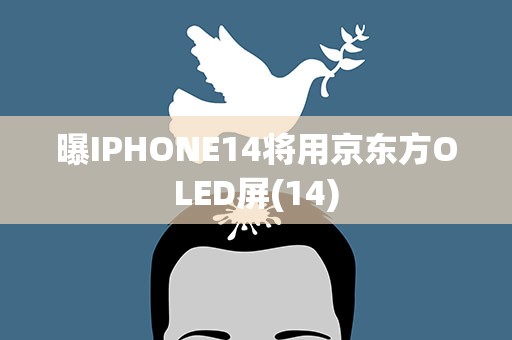 曝IPHONE14将用京东方OLED屏(14)