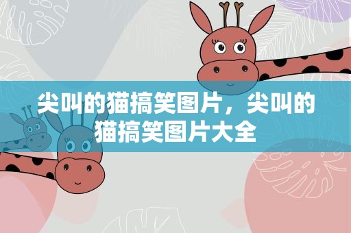 尖叫的猫搞笑图片，尖叫的猫搞笑图片大全