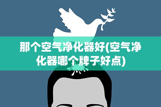 那个空气净化器好(空气净化器哪个牌子好点)