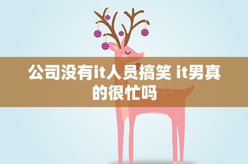 公司没有it人员搞笑 it男真的很忙吗