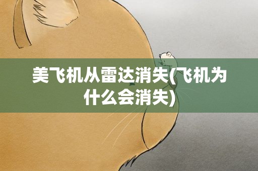 美飞机从雷达消失(飞机为什么会消失)