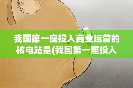 我国第一座投入商业运营的核电站是(我国第一座投入商业运营的核电站是()。)