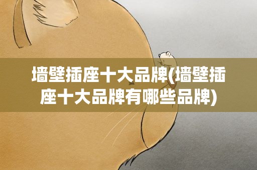 墙壁插座十大品牌(墙壁插座十大品牌有哪些品牌)