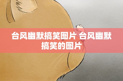 台风幽默搞笑图片 台风幽默搞笑的图片