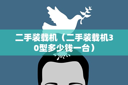 二手装载机（二手装载机30型多少钱一台）