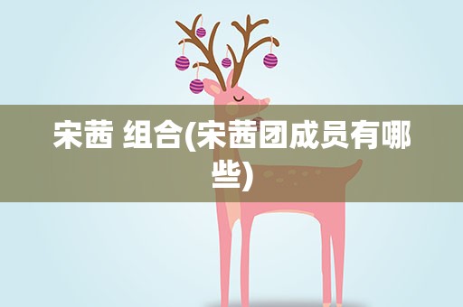 宋茜 组合(宋茜团成员有哪些)