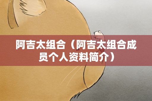 阿吉太组合（阿吉太组合成员个人资料简介）