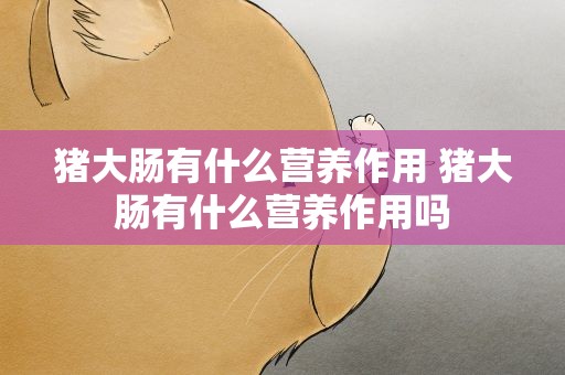 猪大肠有什么营养作用 猪大肠有什么营养作用吗