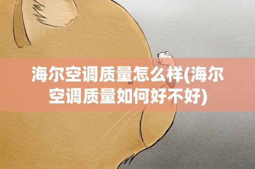 海尔空调质量怎么样(海尔空调质量如何好不好)
