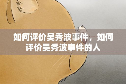 如何评价吴秀波事件，如何评价吴秀波事件的人