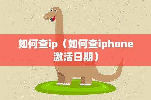 如何查ip（如何查iphone激活日期）