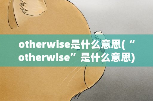 otherwise是什么意思(“otherwise”是什么意思)