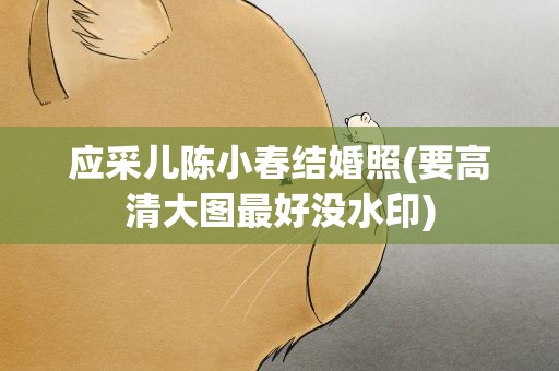应采儿陈小春结婚照(要高清大图最好没水印)