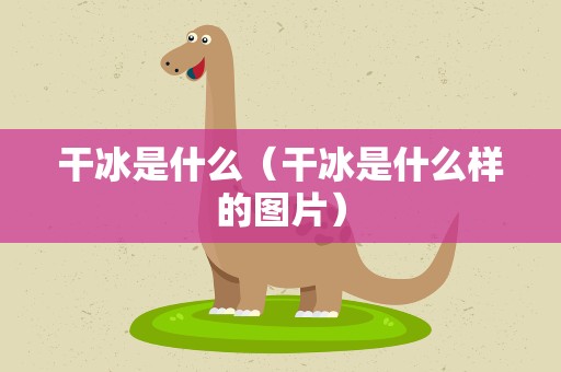 干冰是什么（干冰是什么样的图片）