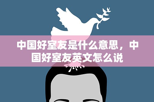 中国好室友是什么意思，中国好室友英文怎么说