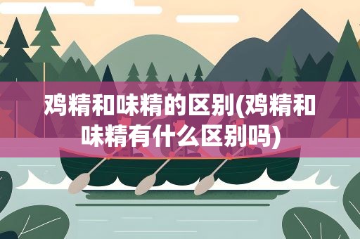 鸡精和味精的区别(鸡精和味精有什么区别吗)