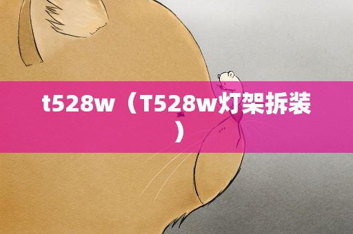 t528w（T528w灯架拆装）