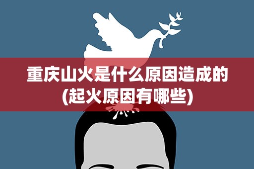 重庆山火是什么原因造成的(起火原因有哪些)