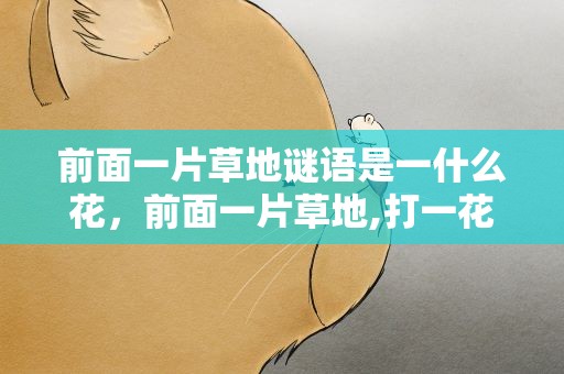 前面一片草地谜语是一什么花，前面一片草地,打一花名