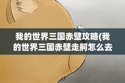 我的世界三国赤壁攻略(我的世界三国赤壁走舸怎么去)