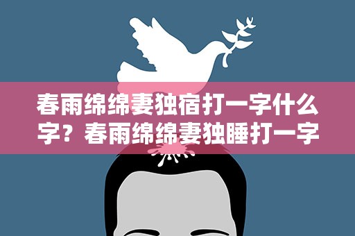 春雨绵绵妻独宿打一字什么字？春雨绵绵妻独睡打一字什么字