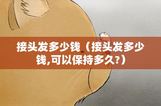 接头发多少钱（接头发多少钱,可以保持多久?）