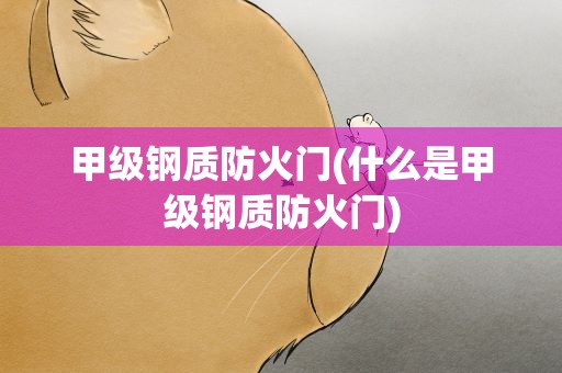 甲级钢质防火门(什么是甲级钢质防火门)