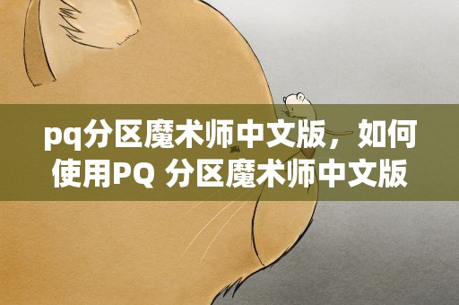 pq分区魔术师中文版，如何使用PQ 分区魔术师中文版进行分区操作