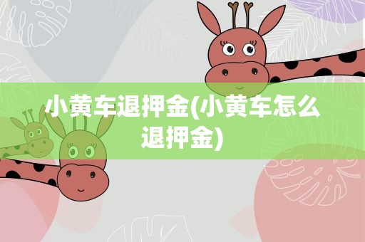 小黄车退押金(小黄车怎么退押金)
