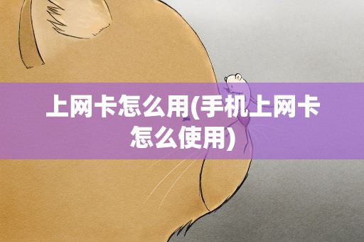 上网卡怎么用(手机上网卡怎么使用)