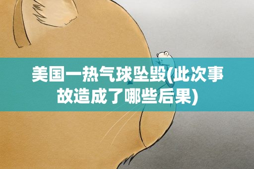 美国一热气球坠毁(此次事故造成了哪些后果)