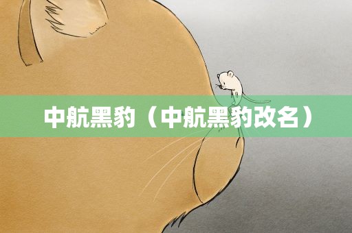 中航黑豹（中航黑豹改名）