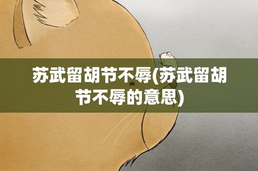 苏武留胡节不辱(苏武留胡节不辱的意思)